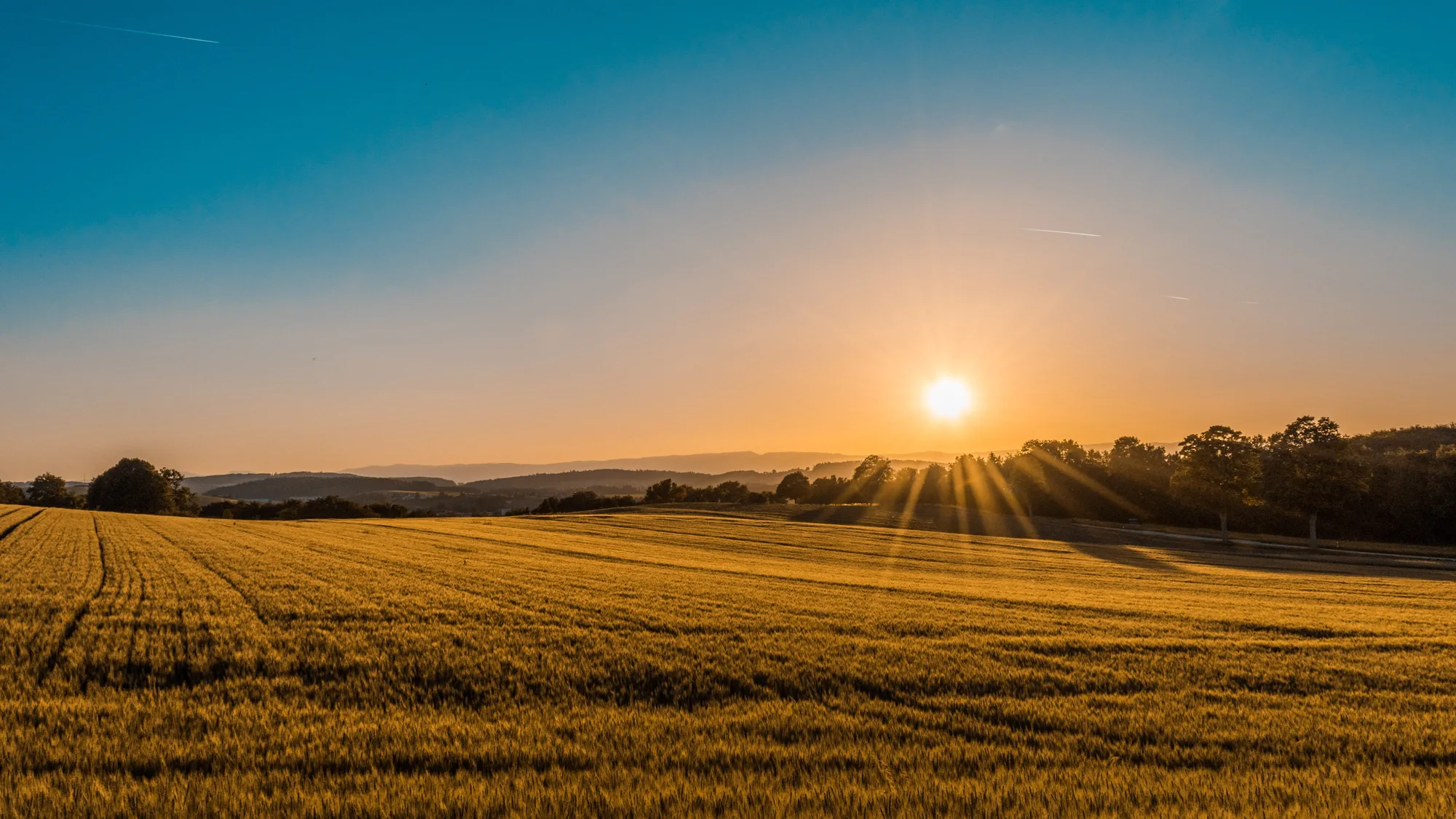 Sun rising over an open field, representing a new beginning